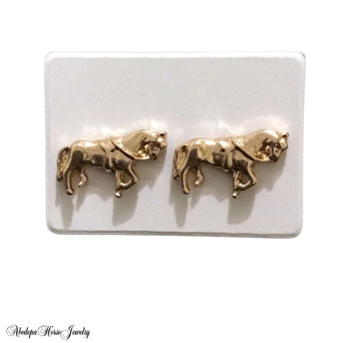 Cute walking horse earrings - with reins and lunge roller, featuring rubber backs and stainless steel wires.