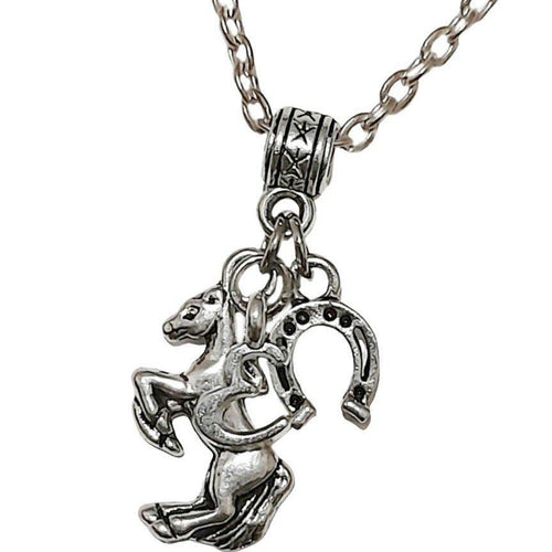 Horse Rearing Silver Horseshoe with Necklace -shop now 