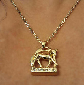 Horse Stirrup with Horse NecklaceHorse Stirrup with Horse Necklace This elegant Horse Stirrup Necklace features a stunning horse doing an extending trot on the base of the stirrup. Adorned with sparHorse Stirrup NecklaceAHJewelryAbcdepaHorseJewelryHorse Stirrup