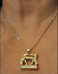 Horse Stirrup with Horse NecklaceHorse Stirrup with Horse Necklace This elegant Horse Stirrup Necklace features a stunning horse doing an extending trot on the base of the stirrup. Adorned with sparHorse Stirrup NecklaceAHJewelryAbcdepaHorseJewelryHorse Stirrup