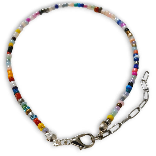 Multi Color Silver Anklet with seed beads and stainless steel chain.